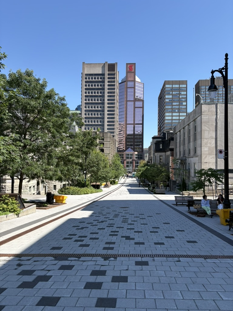 A pedestrian street in downtown Montreal near McGill University, lined with trees and historic buildings