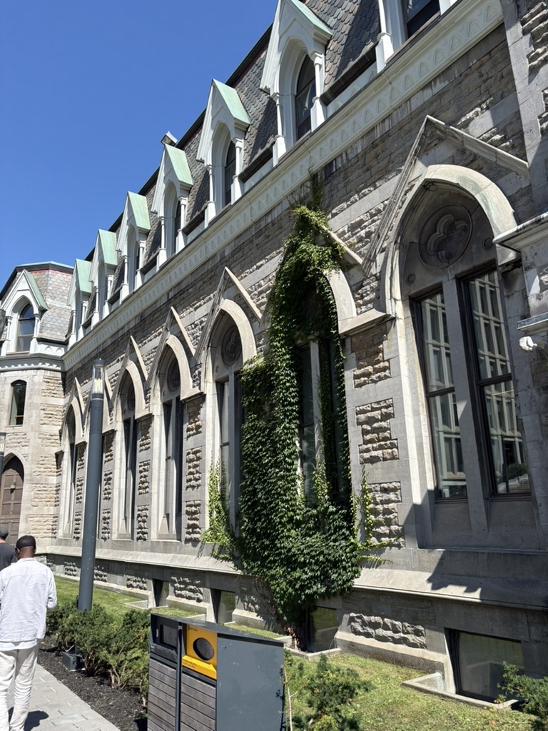 Ivy growing on the stone facade of a historic building on McGill University's campus
