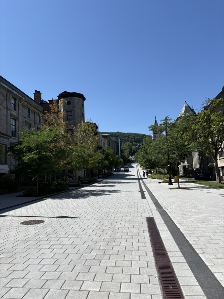 A tree-lined street on McGill University's campus with Mont Royal visible in the distance